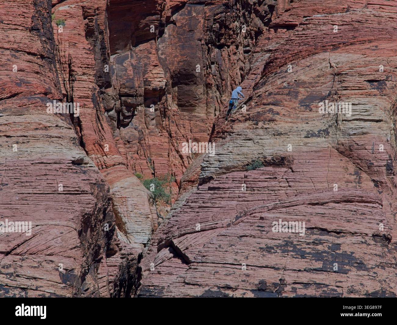 Felskletterer an den bunten Sandsteinwänden der Red Rock Canyon National Conservation Area Stockfoto