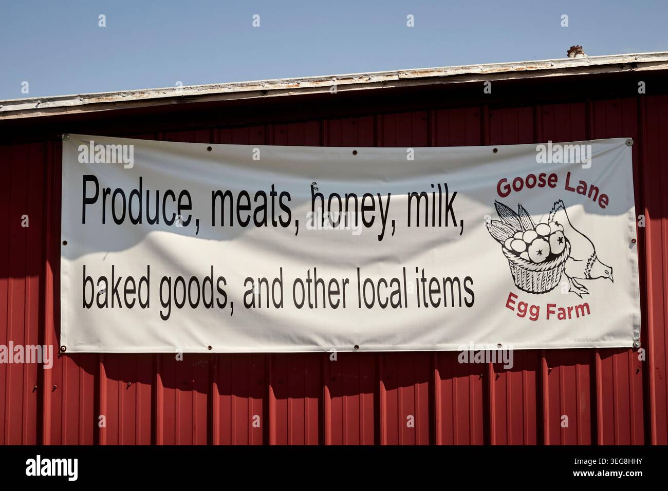 Goose Lane Geflügelfarm, Berks County, Pennsylvania, USA Stockfoto