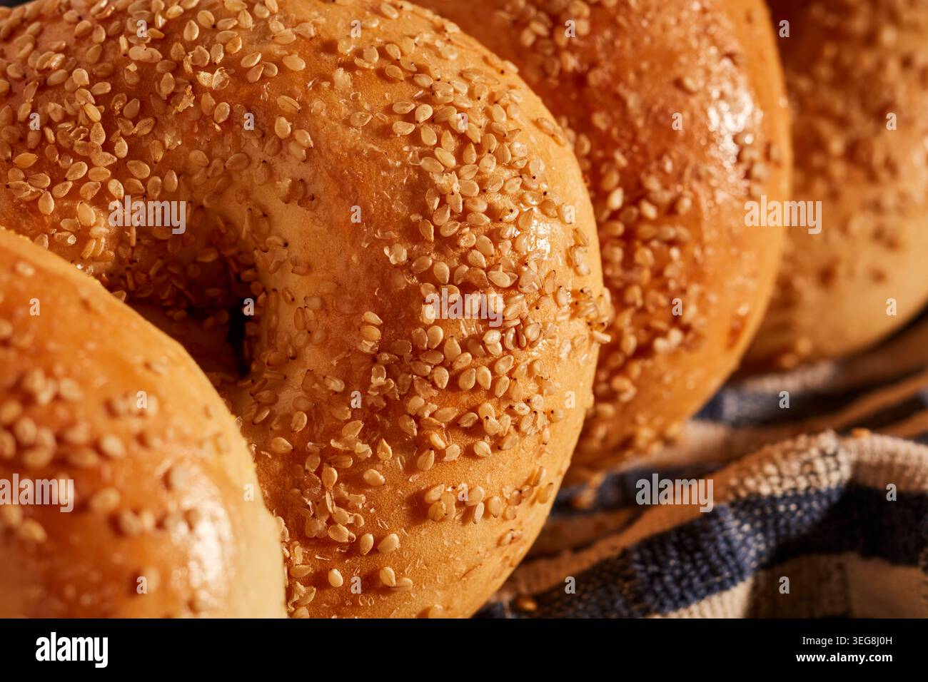 wole Sesam Bagels Stockfoto