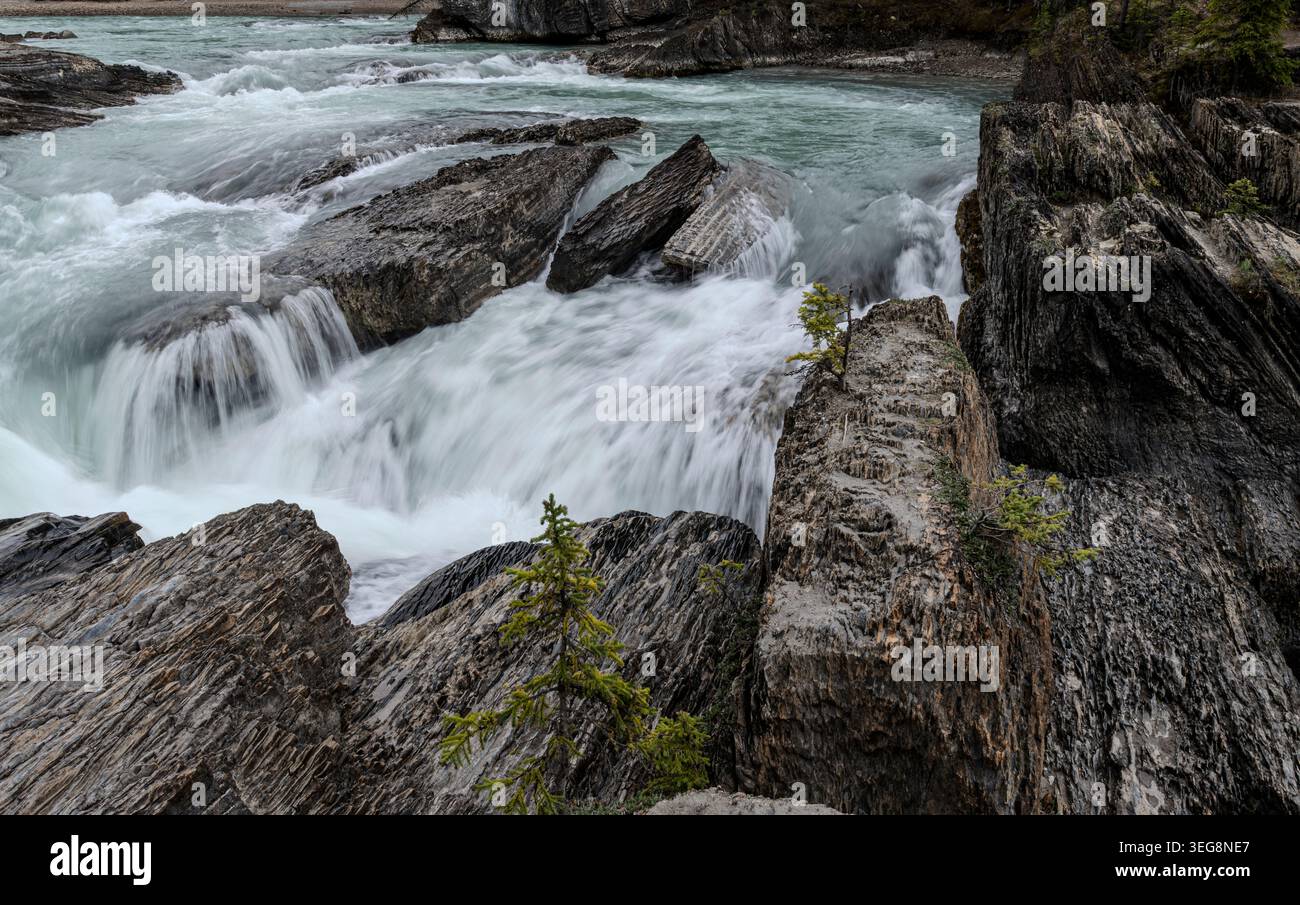 Der Wasserfall am Kicking Horse River an der Natural Bridge im Yoho National Park, British Columbia, Kanada. Stockfoto