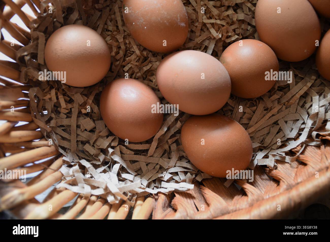 Frische Bio-Eier in einem rustikalen Korb, in natürlichem Licht mit Ästhetik im Bauernhausstil. Hochwertige Lebensmittelfotografie, perfekt für Motive von Stockfoto