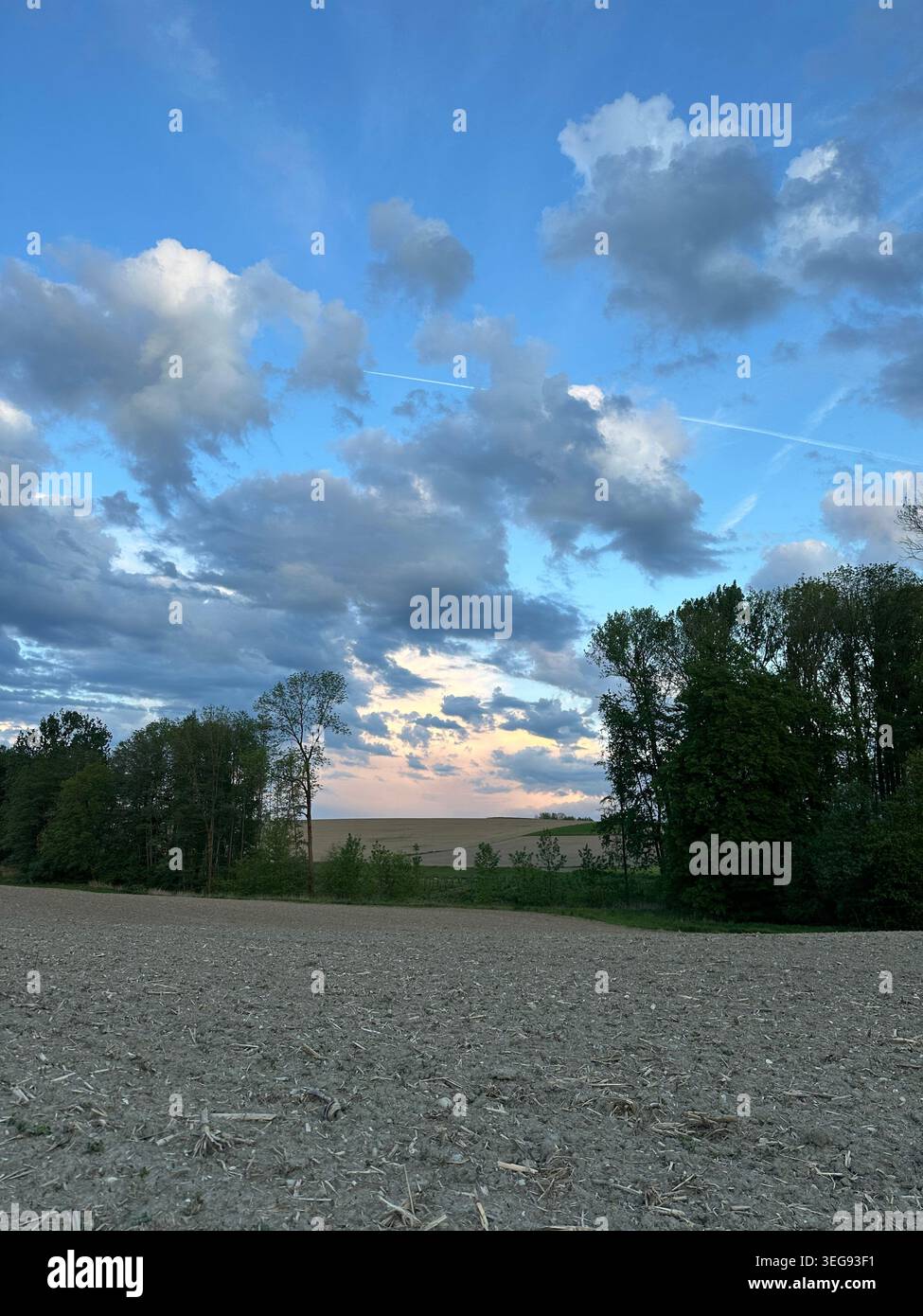 Dramatische Wolkenlandschaft in der Abenddämmerung über ländliches Ackerland mit Bäumen, gegenüber dem Sonnenuntergang Himmel, Österreich. - Smartphone-aufgenommenes Stockfoto