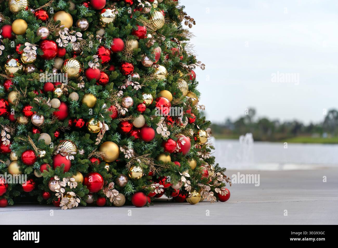 Winterurlaub in Florida. Glitzernde rote, silberne und goldene Kugeln ruhen auf üppigen Kiefernzweigen für eine gemütliche festliche Stimmung. Stockfoto