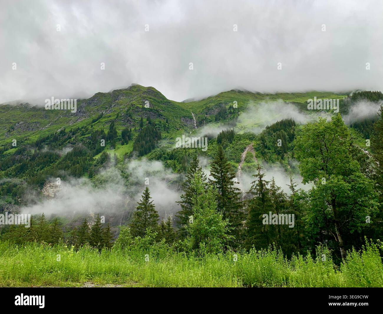 Nebel treibt durch alpine Berge und Kiefernwälder in Bad Gastein, Österreich - Smartphone-aufgenommenes Stockfoto