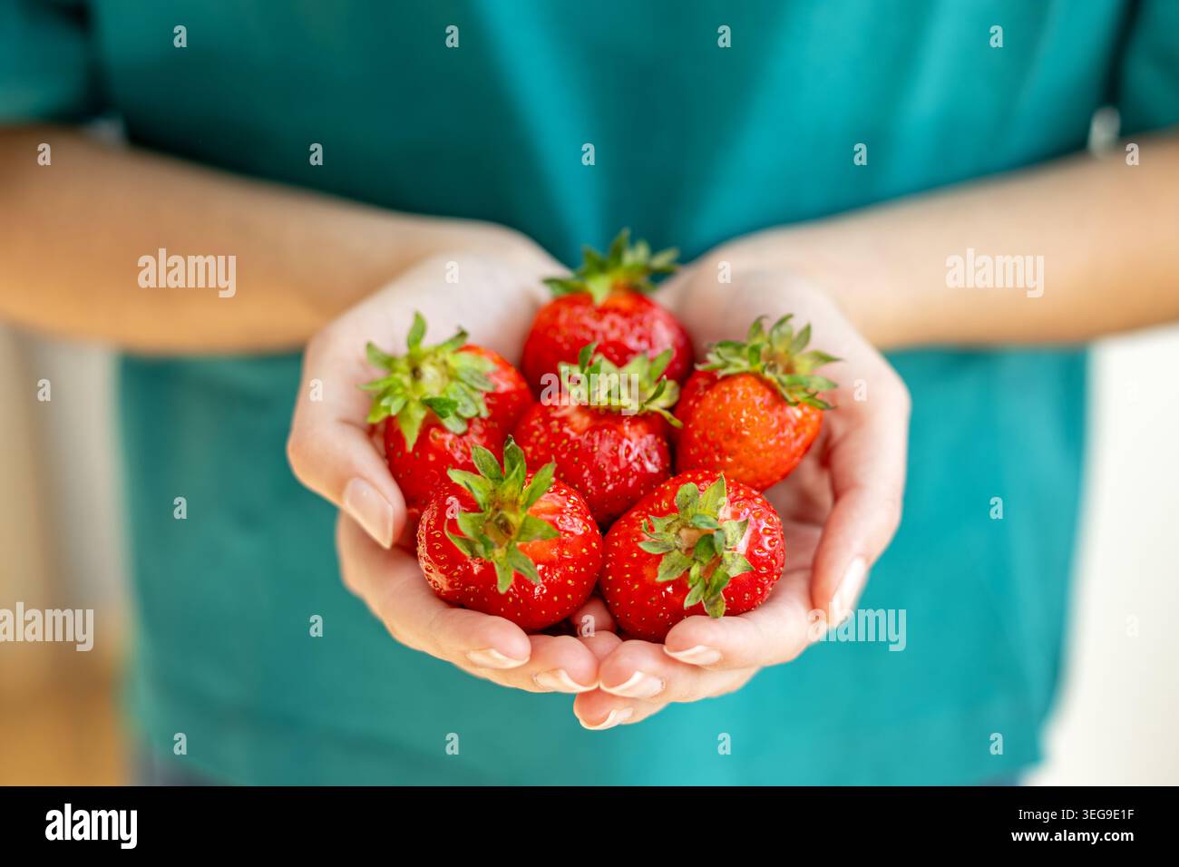 Hände, Die Frische, Reife Erdbeeren Halten. Nahaufnahme der Hände mit frischen Reifen Erdbeeren, ideal für gesunde Ernährung, Sommerfrüchte und natürliche Snacks Stockfoto