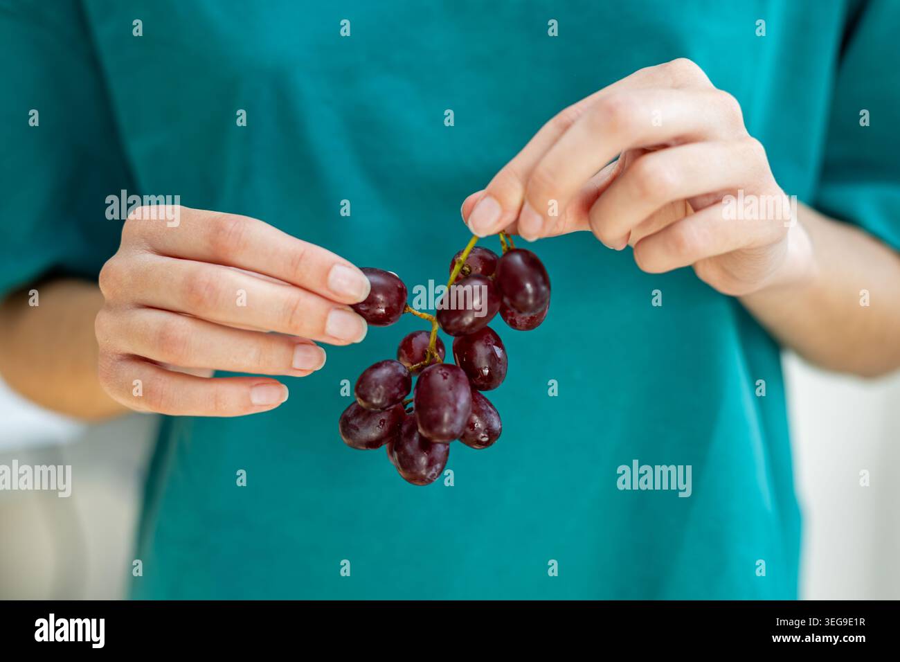 Hände, Die Frische Rote Trauben Halten, Sind Nah Dran. Nahaufnahme der Hände, die frische rote Trauben halten, zeigen gesunde Snacks, natürliche Früchte, und einfach jeden Tag Stockfoto