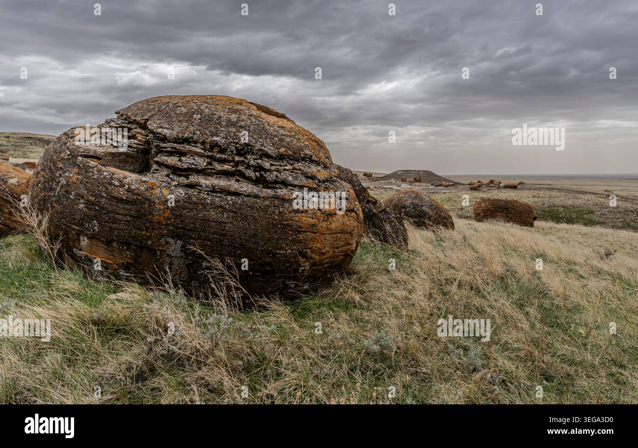 Rocks im Red Rock Coulee Natural Area südlich von Medicine hat, Alberta, Kanada. Stockfoto