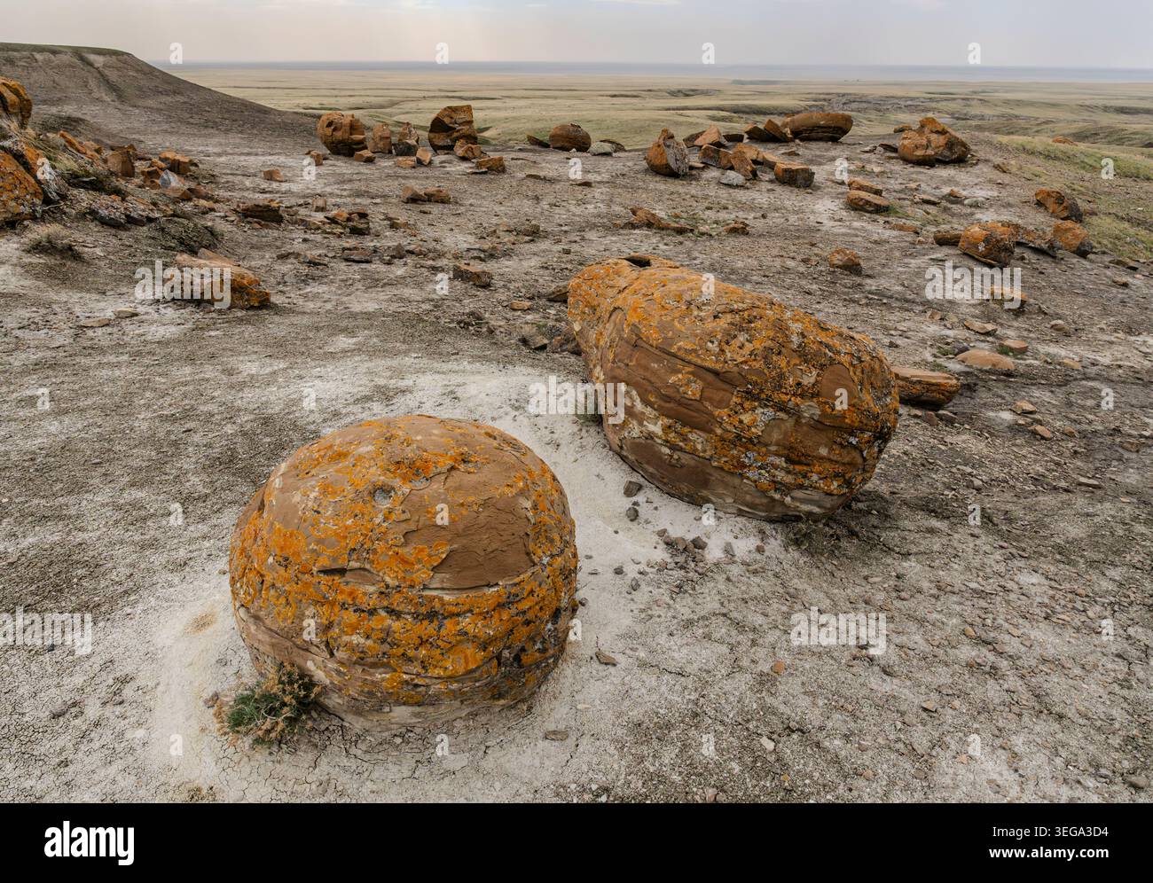 Rocks im Red Rock Coulee Natural Area südlich von Medicine hat, Alberta, Kanada. Stockfoto