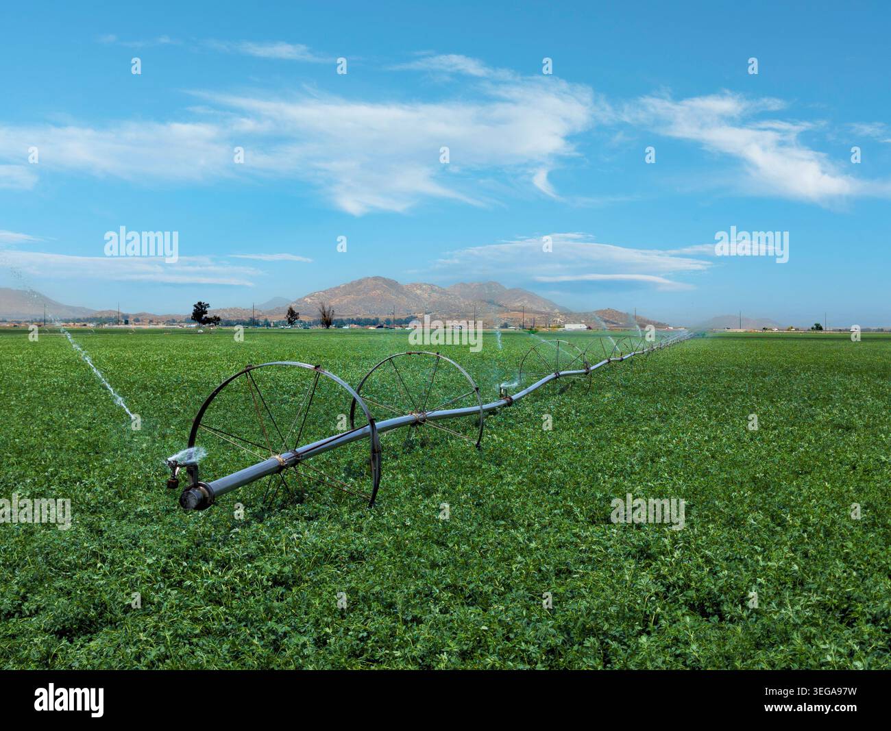Großes Bewässerungssystem auf Alfalfa Farm mit Berghintergrund Stockfoto