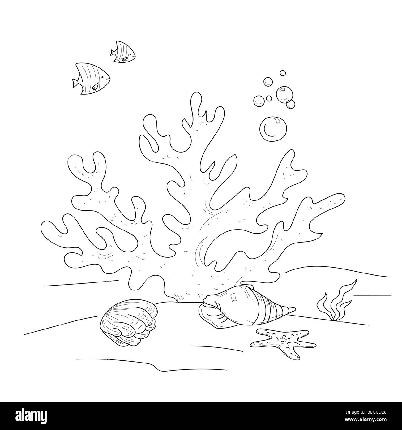 Ein Korallenzweig und eine Schale auf dem Meeresboden, eine handgezeichnete Skizze. Vektorabbildung. Fische und Luftblasen unter dem Meerwasser, isoliert auf einem Stock Vektor