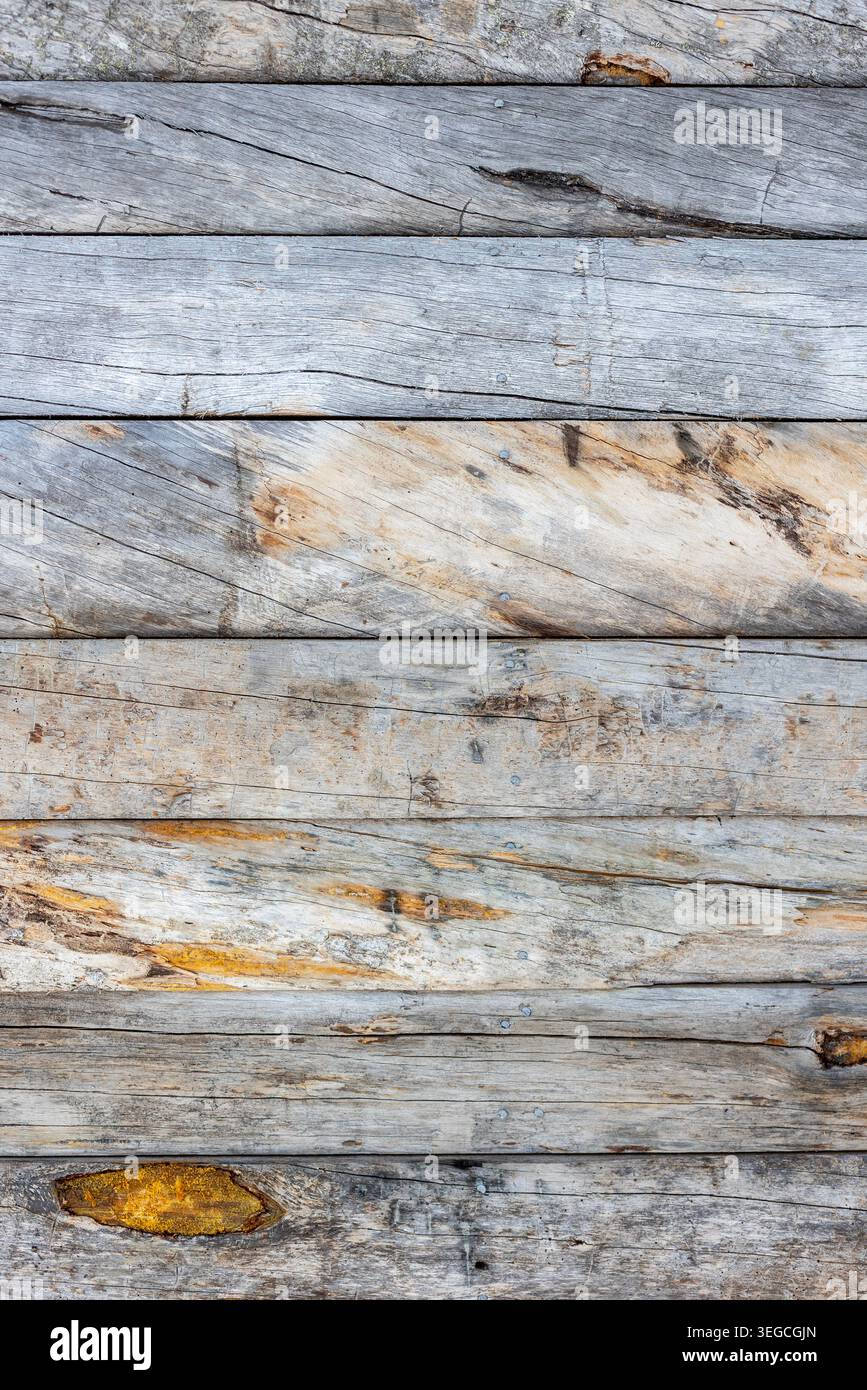 Aus nächster Nähe sehen Sie verwitterte Kelohonka-Stämme, die natürliche Körnung, gereifte Oberflächen und rustikalen nordischen Charakter zeigen. Die organische Textur und die unterschiedlichen Töne machen es aus Stockfoto