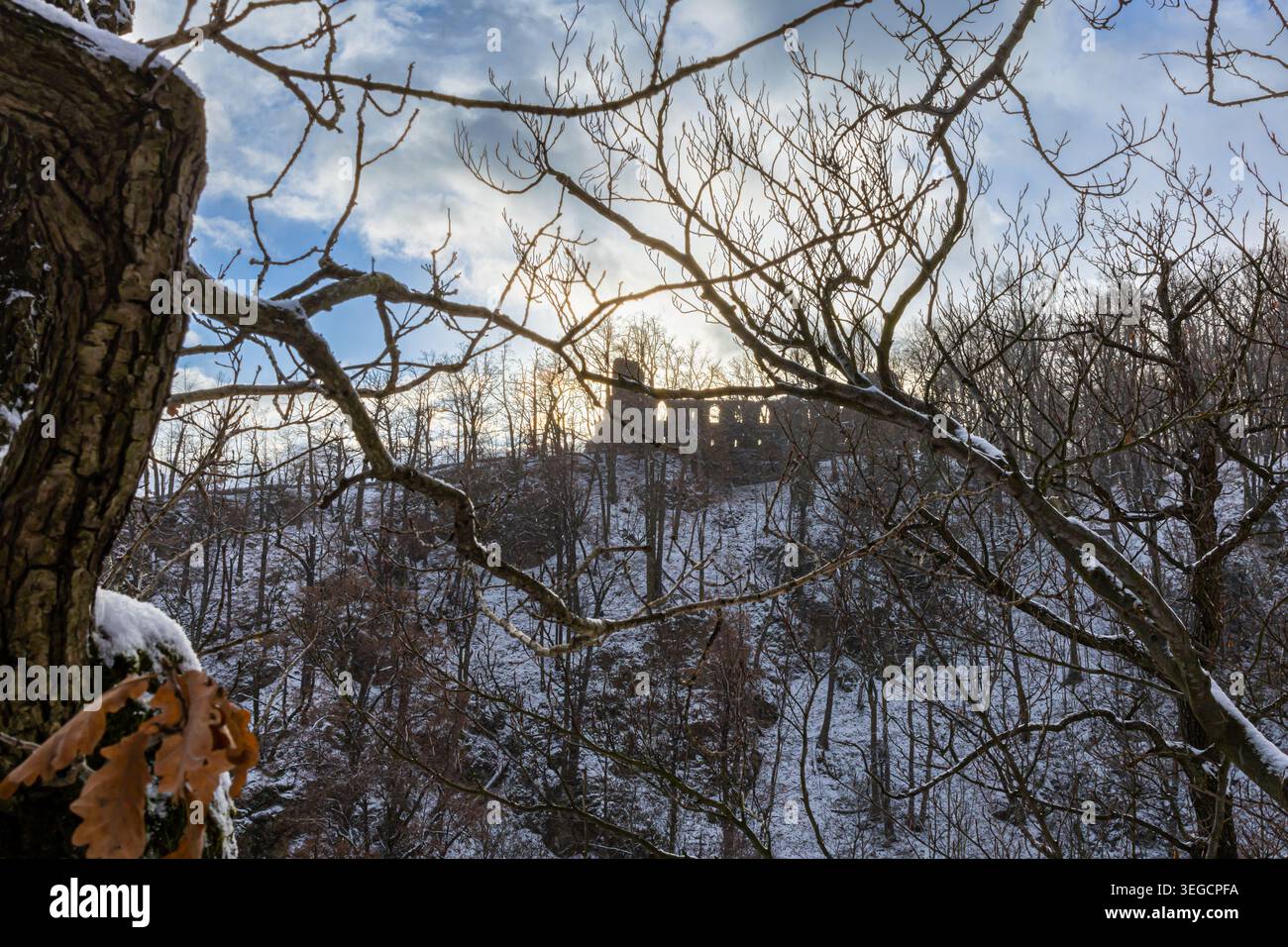 Winterlandschaft mit alten Burgruinen auf einem schneebedeckten Hügel hinter Baumästen. Stockfoto