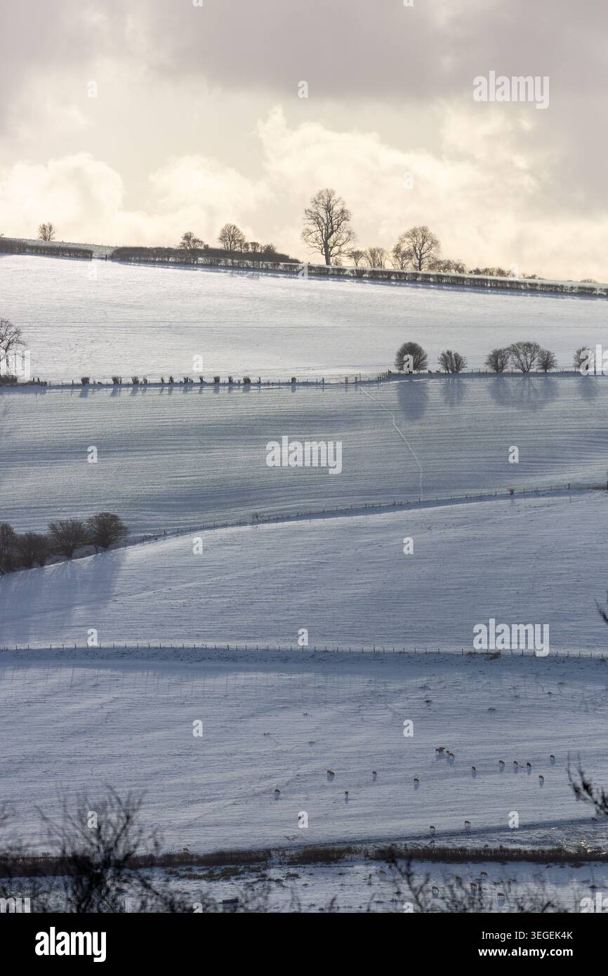 Schneebedeckte Landschaft in Shropshire, England Stockfoto