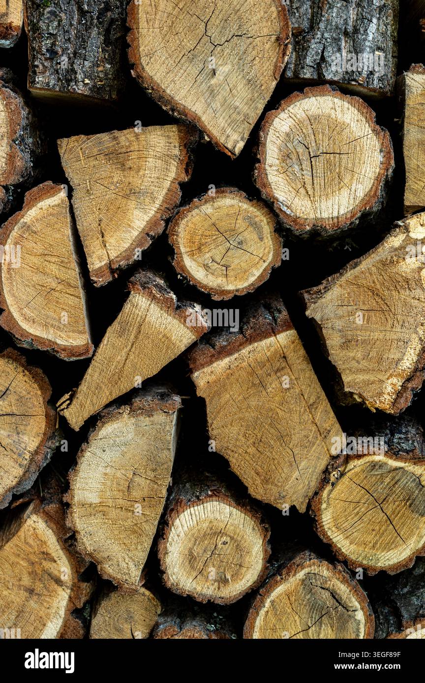 Trocken gehacktes Brennholz aus Eiche. Hintergrund Stockfoto