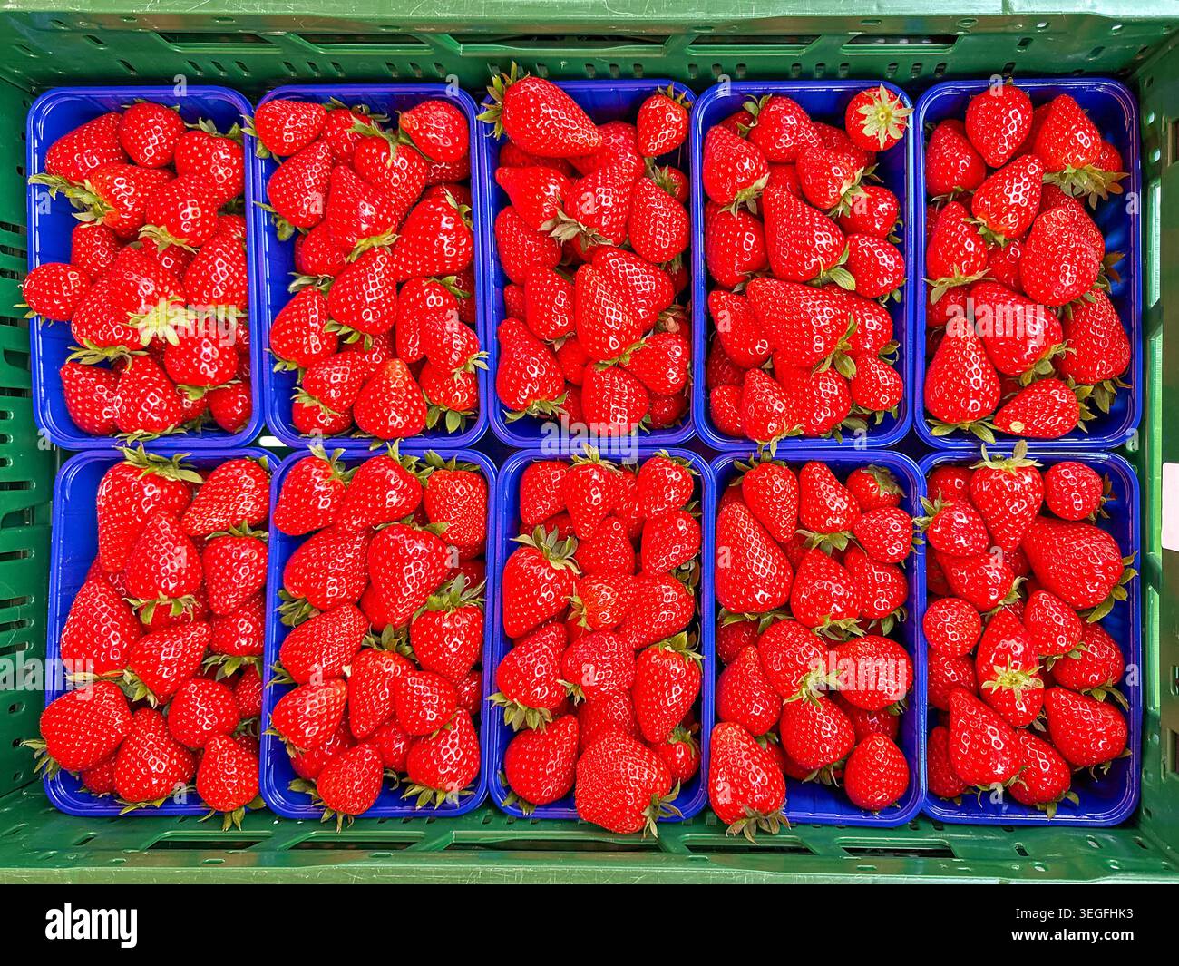 Nahaufnahme von Punnets mit frischen, saftigen Erdbeeren, die an einem Marktstand verkauft werden. Keine Personen. - Smartphone-aufgenommenes Stockfoto