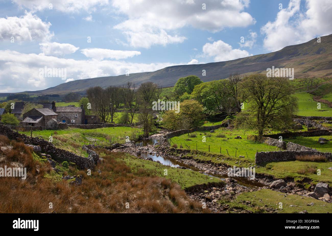 Ländliche Farm-Szene mit Fluss in Ribblehead, Yorkshire Dales, England Stockfoto