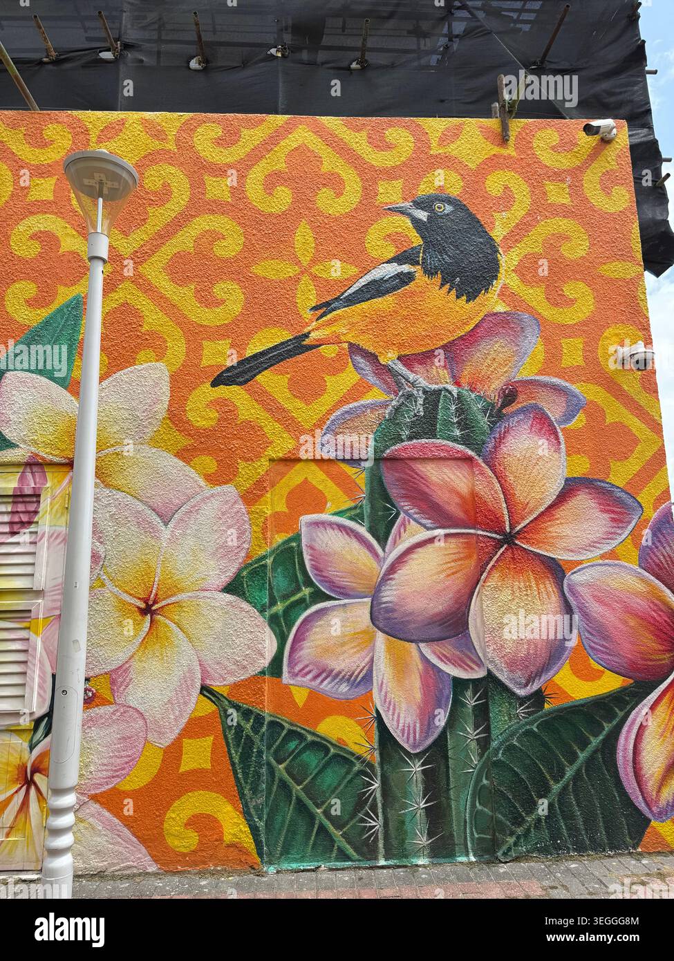 Eine farbenfrohe dekorative Wandtafel, die einen gelben oriole-Vogel auf Blumen vor einem orangefarbenen Hintergrund darstellt. - Smartphone-aufgenommenes Stockfoto