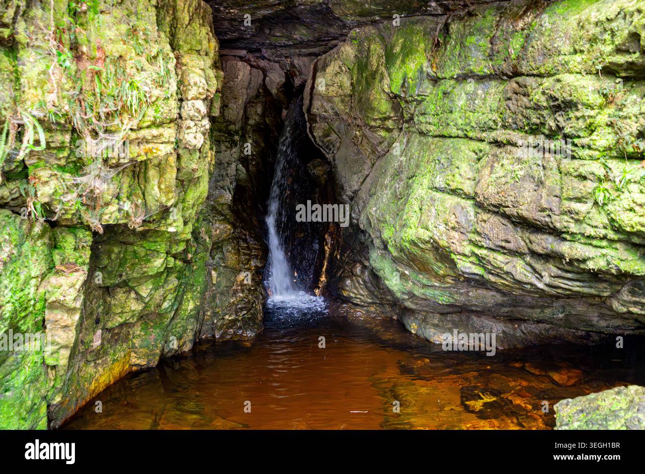 Ein kleiner Wasserfall fließt aus einer felsigen Höhle, umgeben von lebhaftem grünem Moos und dunklem Stein in Kolumbiens natürlicher Landschaft. Stockfoto