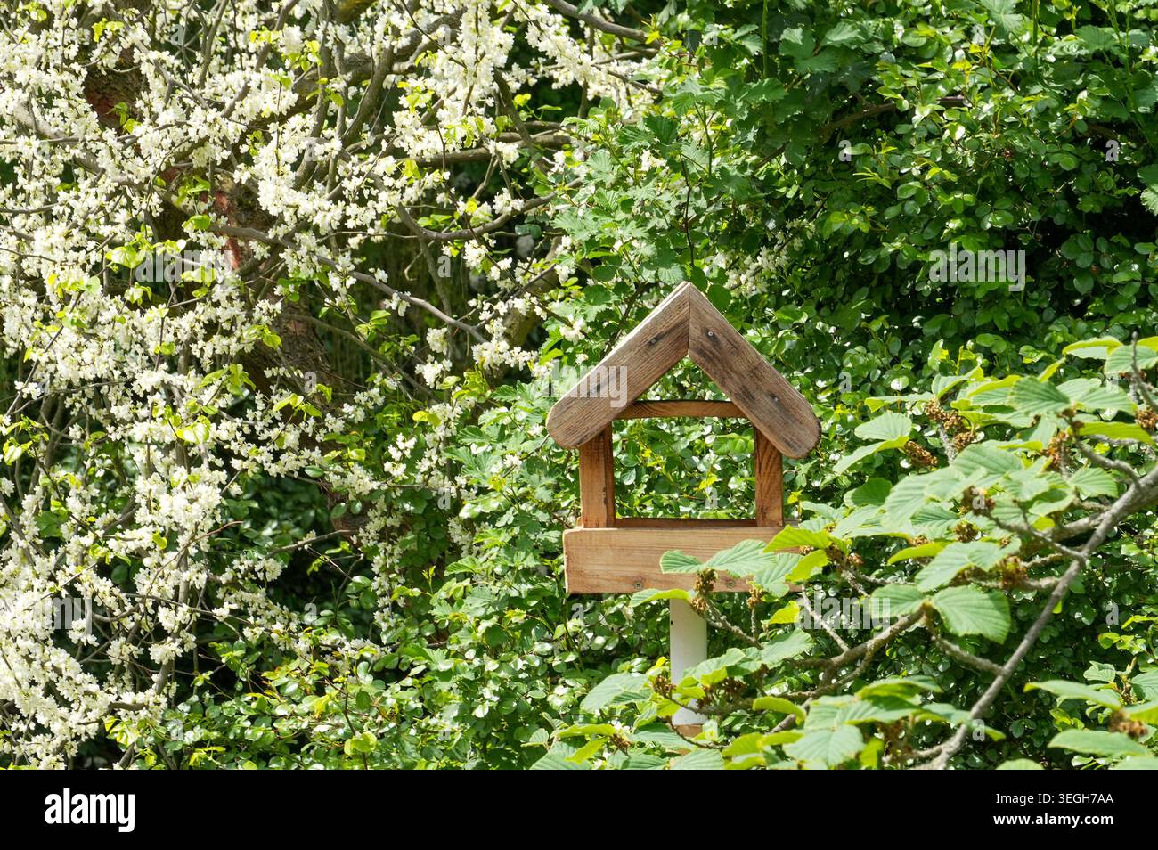 Hölzerne Vogelfutteranlage im Garten auf grünem Laub Stockfoto