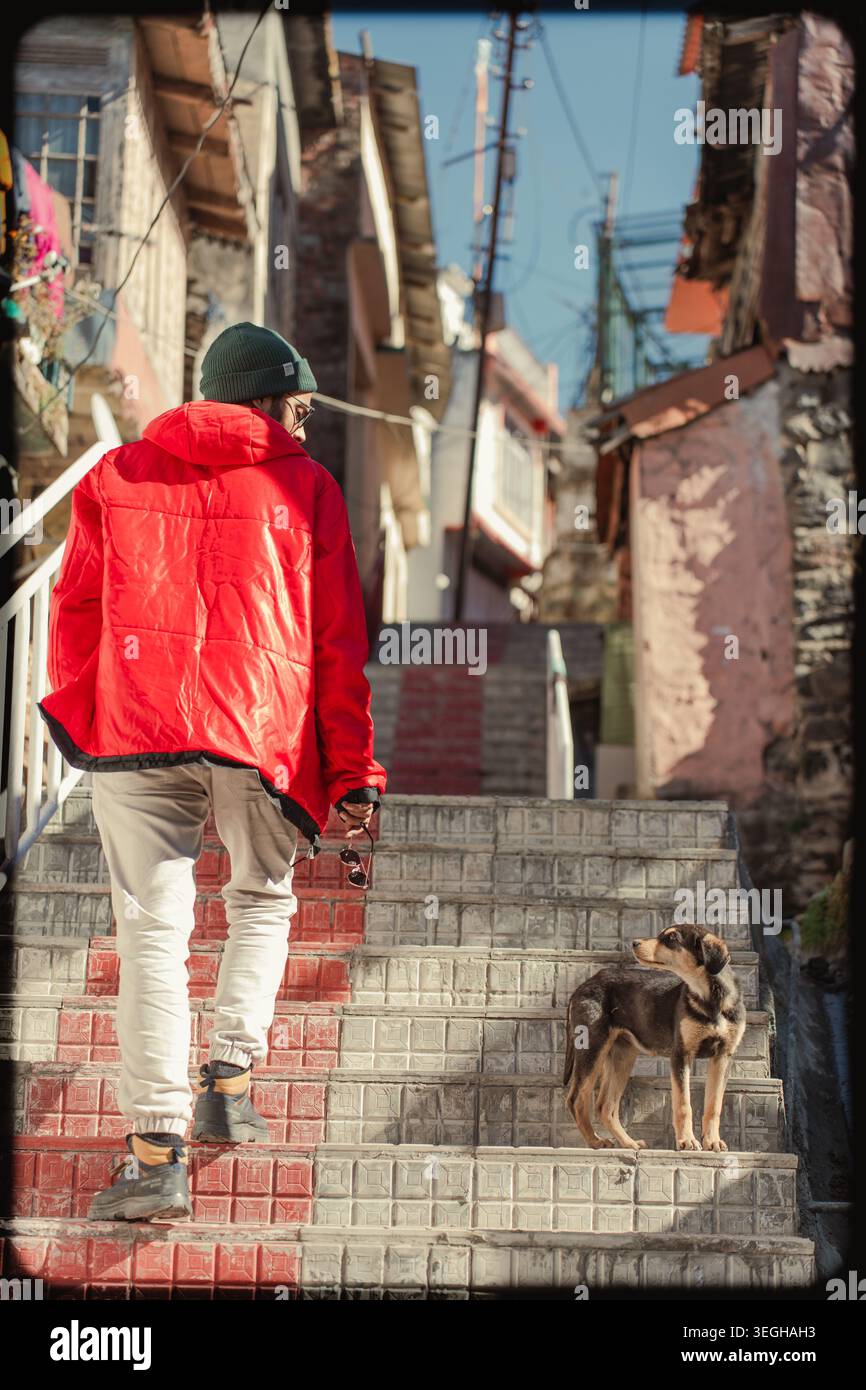 Eine Person, die eine leuchtend rote Jacke trägt, geht in Begleitung eines kleinen Hundes in Chakrata, Uttarakhand, Indien, eine Steintreppe hinauf. Stockfoto