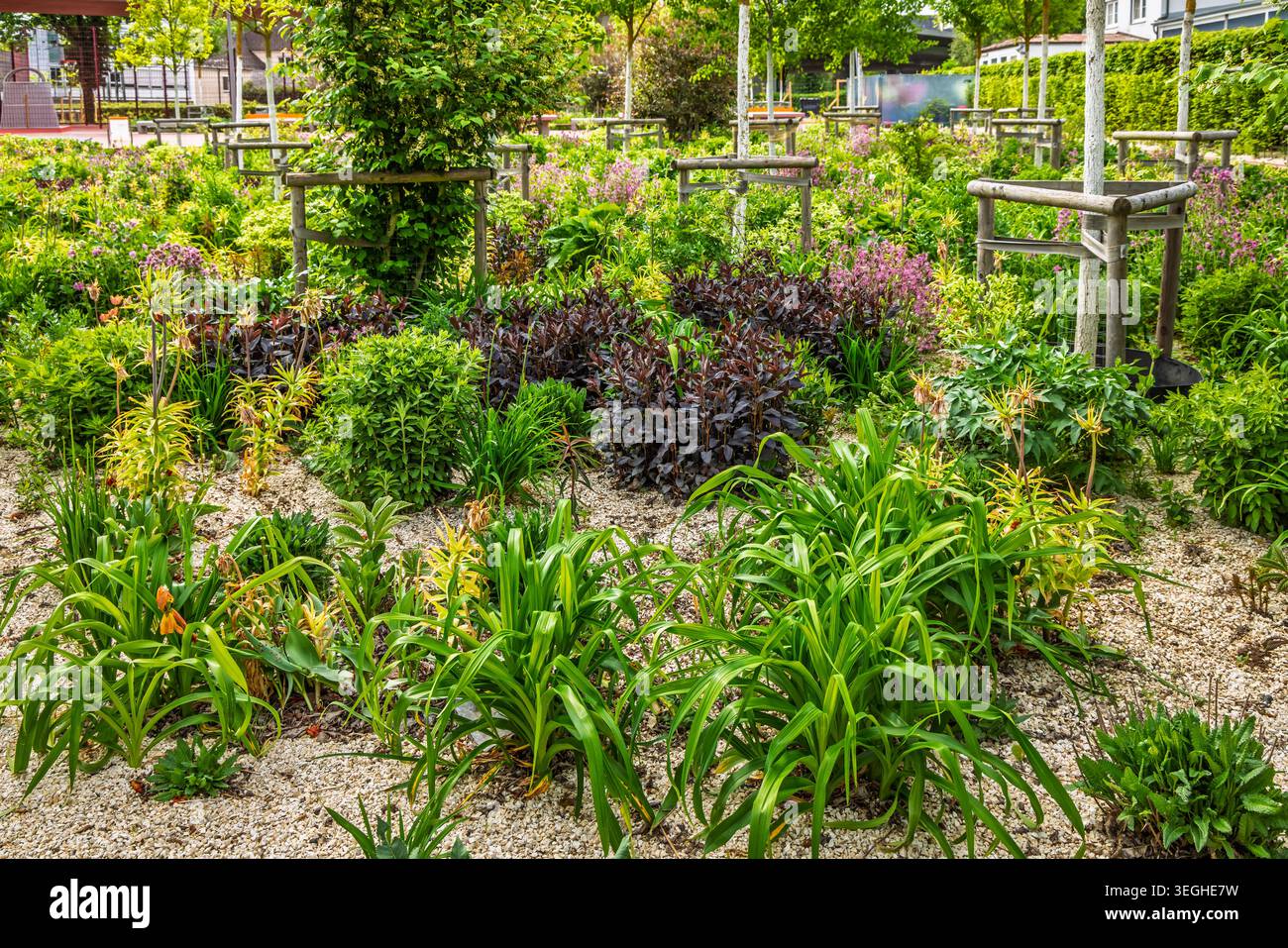 Üppige Vegetation in einem öffentlichen Stadtpark Stockfoto