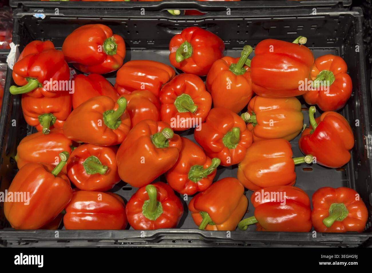 Paprika (Capsicum) unverarbeitet, international Stockfoto