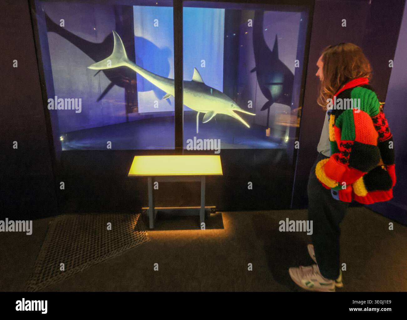 NHM London UK Mittwoch, 20. Mai bis Donnerstag, 21. Mai 00,01, das BST Natural History Museum gibt seine neue Blockbuster-Ausstellung Jurassic Oceans: Monsters of the Deep bekannt, die am Freitag, den 22. Mai 2026 in Europa debütiert. Tauchen Sie ein in die prähistorische Tiefe und begegnen Sie den tödlichsten Raubtieren des Ozeans! Begeben Sie sich auf ein elektrisierendes Abenteuer durch uralte Gewässer, die von echten Meeresmonstern wie Ichthyosauren, Plesiosauriern und den furchterregenden T.rexes des Meeres, den Mosasauren, wimmeln. 22. Mai 2026 - 3. Januar 2027.Paul Quezada-Neiman/Alamy Live News Stockfoto