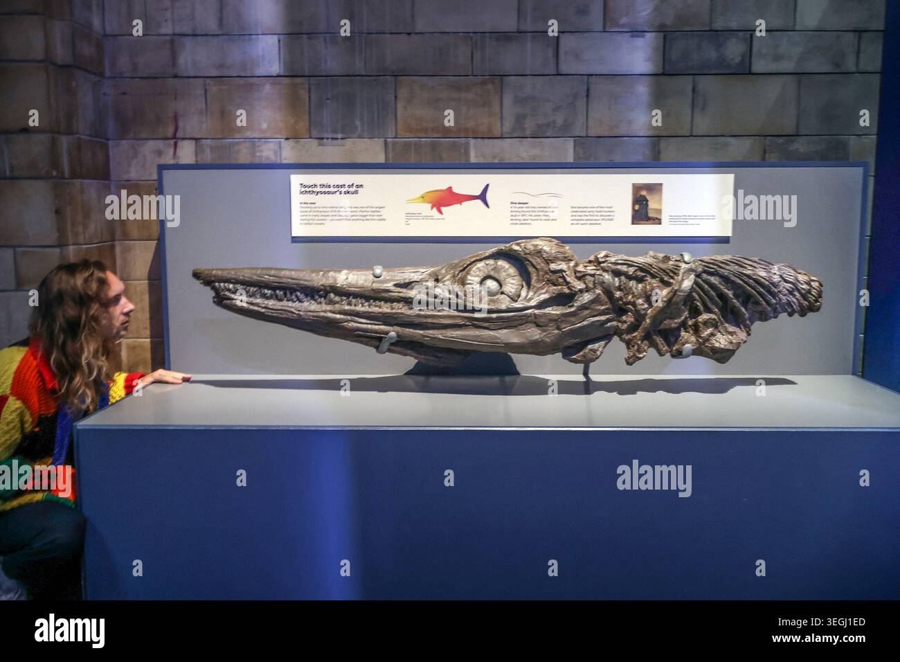 NHM London UK Mittwoch, 20. Mai bis Donnerstag, 21. Mai 00,01, das BST Natural History Museum gibt seine neue Blockbuster-Ausstellung Jurassic Oceans: Monsters of the Deep bekannt, die am Freitag, den 22. Mai 2026 in Europa debütiert. Tauchen Sie ein in die prähistorische Tiefe und begegnen Sie den tödlichsten Raubtieren des Ozeans! Begeben Sie sich auf ein elektrisierendes Abenteuer durch uralte Gewässer, die von echten Meeresmonstern wie Ichthyosauren, Plesiosauriern und den furchterregenden T.rexes des Meeres, den Mosasauren, wimmeln. 22. Mai 2026 - 3. Januar 2027.Paul Quezada-Neiman/Alamy Live News Stockfoto
