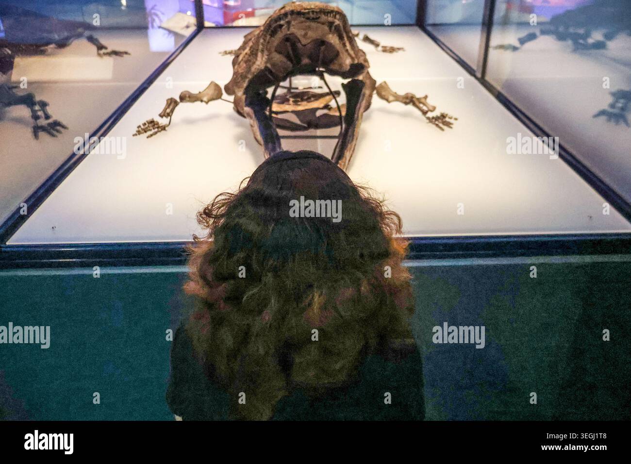 NHM London UK Mittwoch, 20. Mai bis Donnerstag, 21. Mai 00,01, das BST Natural History Museum gibt seine neue Blockbuster-Ausstellung Jurassic Oceans: Monsters of the Deep bekannt, die am Freitag, den 22. Mai 2026 in Europa debütiert. Tauchen Sie ein in die prähistorische Tiefe und begegnen Sie den tödlichsten Raubtieren des Ozeans! Begeben Sie sich auf ein elektrisierendes Abenteuer durch uralte Gewässer, die von echten Meeresmonstern wie Ichthyosauren, Plesiosauriern und den furchterregenden T.rexes des Meeres, den Mosasauren, wimmeln. 22. Mai 2026 - 3. Januar 2027.Paul Quezada-Neiman/Alamy Live News Stockfoto