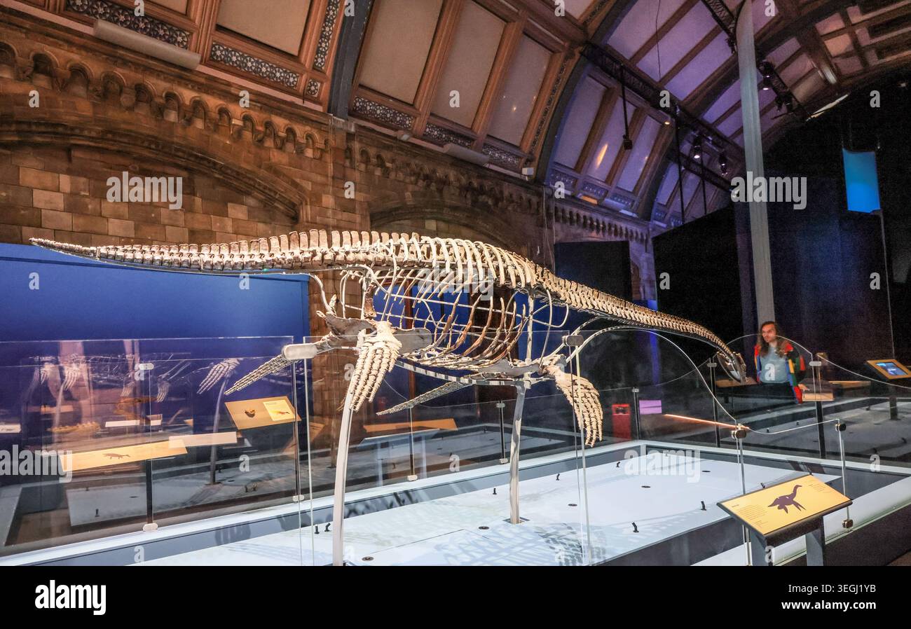NHM London UK Mittwoch, 20. Mai bis Donnerstag, 21. Mai 00,01, das BST Natural History Museum gibt seine neue Blockbuster-Ausstellung Jurassic Oceans: Monsters of the Deep bekannt, die am Freitag, den 22. Mai 2026 in Europa debütiert. Tauchen Sie ein in die prähistorische Tiefe und begegnen Sie den tödlichsten Raubtieren des Ozeans! Begeben Sie sich auf ein elektrisierendes Abenteuer durch uralte Gewässer, die von echten Meeresmonstern wie Ichthyosauren, Plesiosauriern und den furchterregenden T.rexes des Meeres, den Mosasauren, wimmeln. 22. Mai 2026 - 3. Januar 2027.Paul Quezada-Neiman/Alamy Live News Stockfoto
