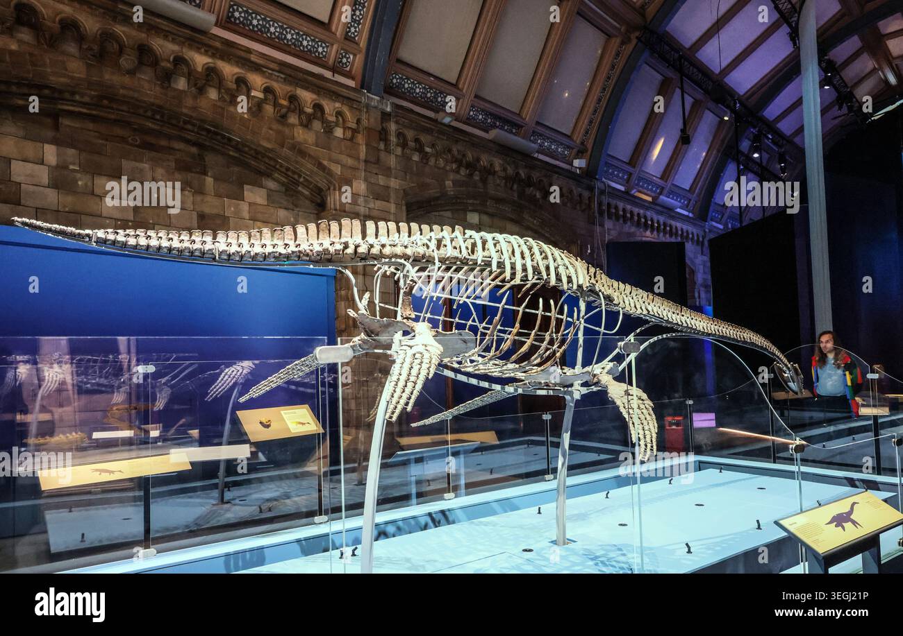 NHM London UK Mittwoch, 20. Mai bis Donnerstag, 21. Mai 00,01, das BST Natural History Museum gibt seine neue Blockbuster-Ausstellung Jurassic Oceans: Monsters of the Deep bekannt, die am Freitag, den 22. Mai 2026 in Europa debütiert. Tauchen Sie ein in die prähistorische Tiefe und begegnen Sie den tödlichsten Raubtieren des Ozeans! Begeben Sie sich auf ein elektrisierendes Abenteuer durch uralte Gewässer, die von echten Meeresmonstern wie Ichthyosauren, Plesiosauriern und den furchterregenden T.rexes des Meeres, den Mosasauren, wimmeln. 22. Mai 2026 - 3. Januar 2027.Paul Quezada-Neiman/Alamy Live News Stockfoto