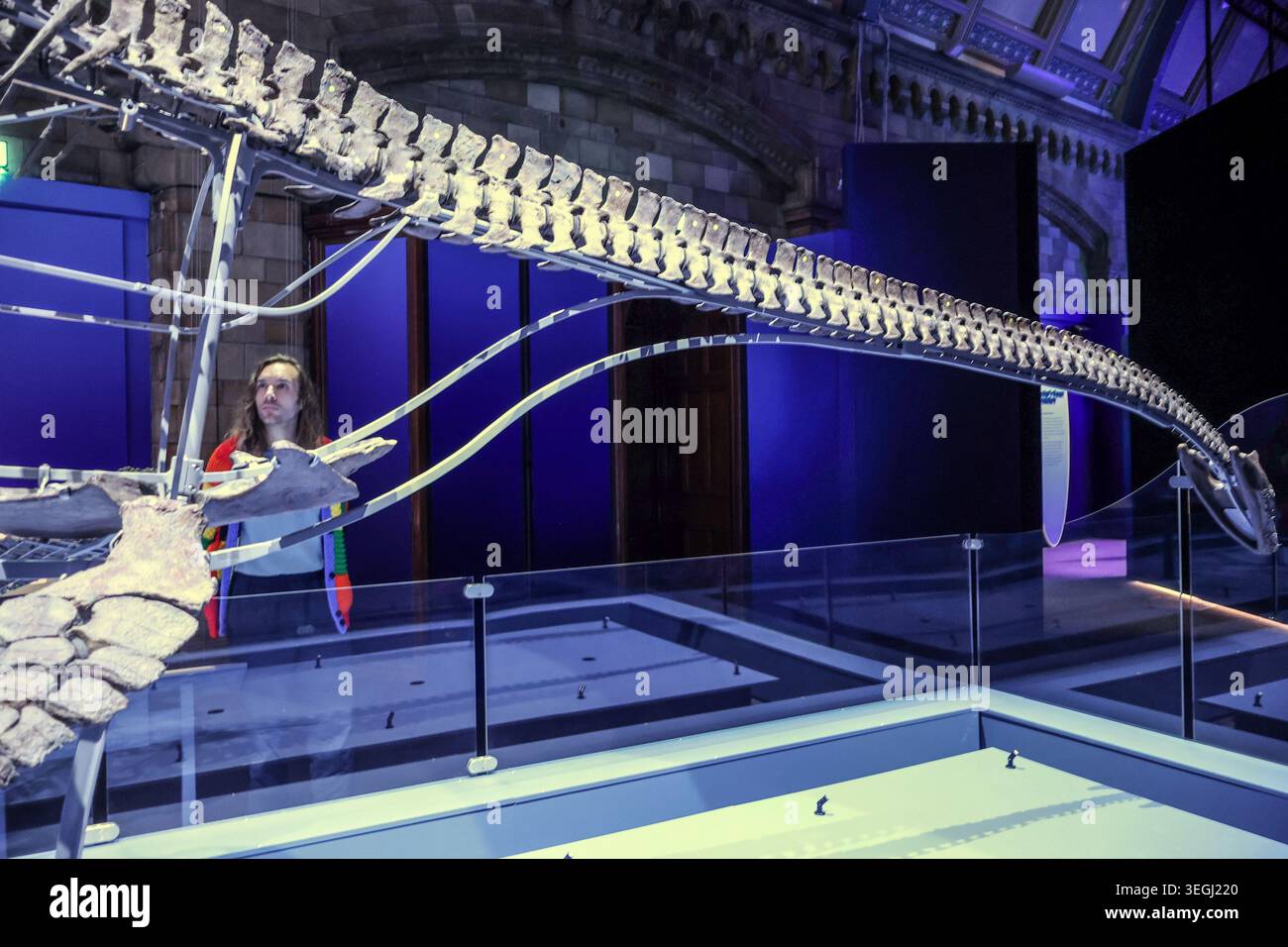 NHM London UK Mittwoch, 20. Mai bis Donnerstag, 21. Mai 00,01, das BST Natural History Museum gibt seine neue Blockbuster-Ausstellung Jurassic Oceans: Monsters of the Deep bekannt, die am Freitag, den 22. Mai 2026 in Europa debütiert. Tauchen Sie ein in die prähistorische Tiefe und begegnen Sie den tödlichsten Raubtieren des Ozeans! Begeben Sie sich auf ein elektrisierendes Abenteuer durch uralte Gewässer, die von echten Meeresmonstern wie Ichthyosauren, Plesiosauriern und den furchterregenden T.rexes des Meeres, den Mosasauren, wimmeln. 22. Mai 2026 - 3. Januar 2027.Paul Quezada-Neiman/Alamy Live News Stockfoto
