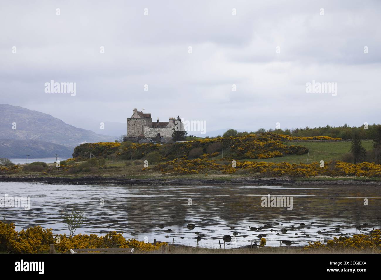 Urlaub auf der Isle of Mull, um Weißschwanzseeadler zu sehen. Im Mai 2026 halten Sie in Oban, die Fähre nach Craignure, um im Mull Spa Hotel zu übernachten. Stockfoto