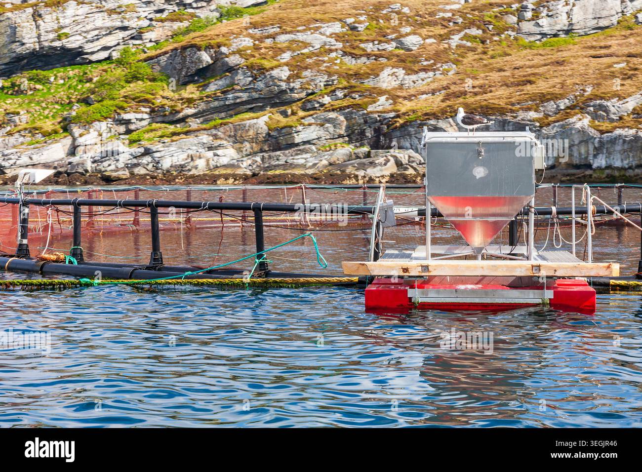 Fischkäfig im Meer an der felsigen Küste Stockfoto