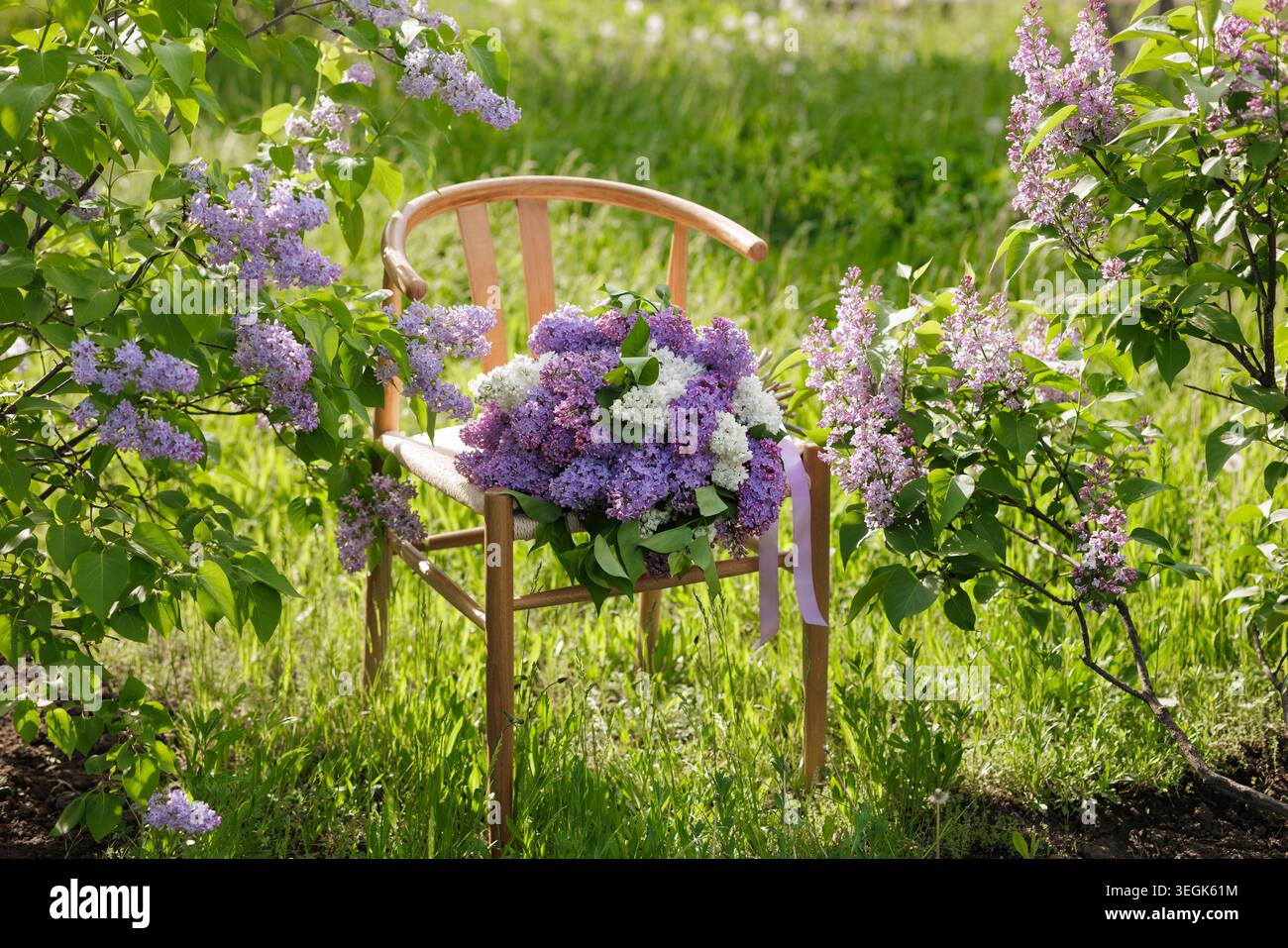 Ein atemberaubendes Arrangement aus lila Blumen auf einem Holzstuhl in einem lebendigen Garten, perfekt für Blumendesign, Veranstaltungsplanung oder Wohnkultur Stockfoto
