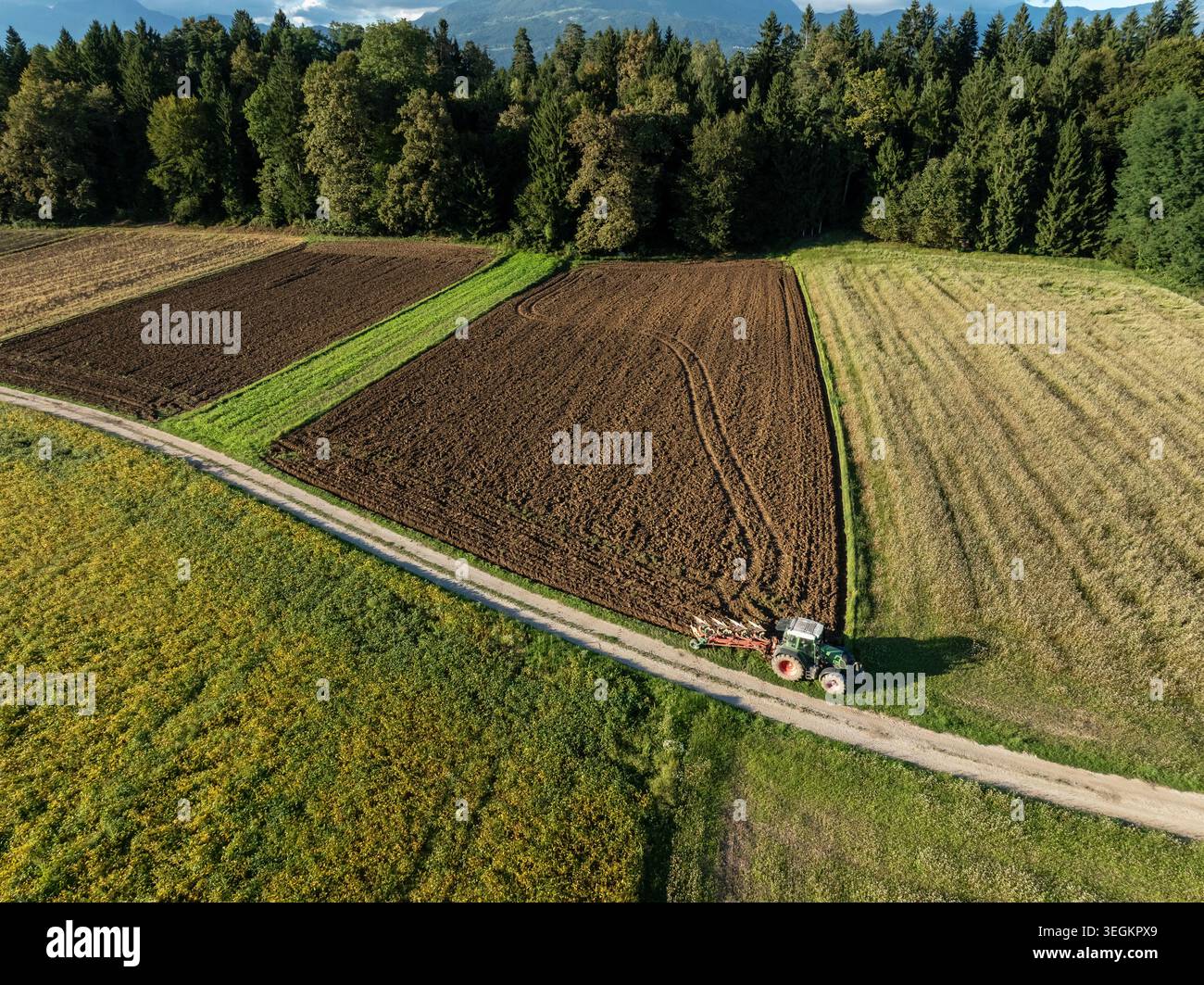 Der Traktor arbeitet auf gepflügten Feldern in der Nähe eines Waldes. Berge sind im Hintergrund. Bei dieser Aktivität wird die Landwirtschaft tagsüber gezeigt. Stockfoto