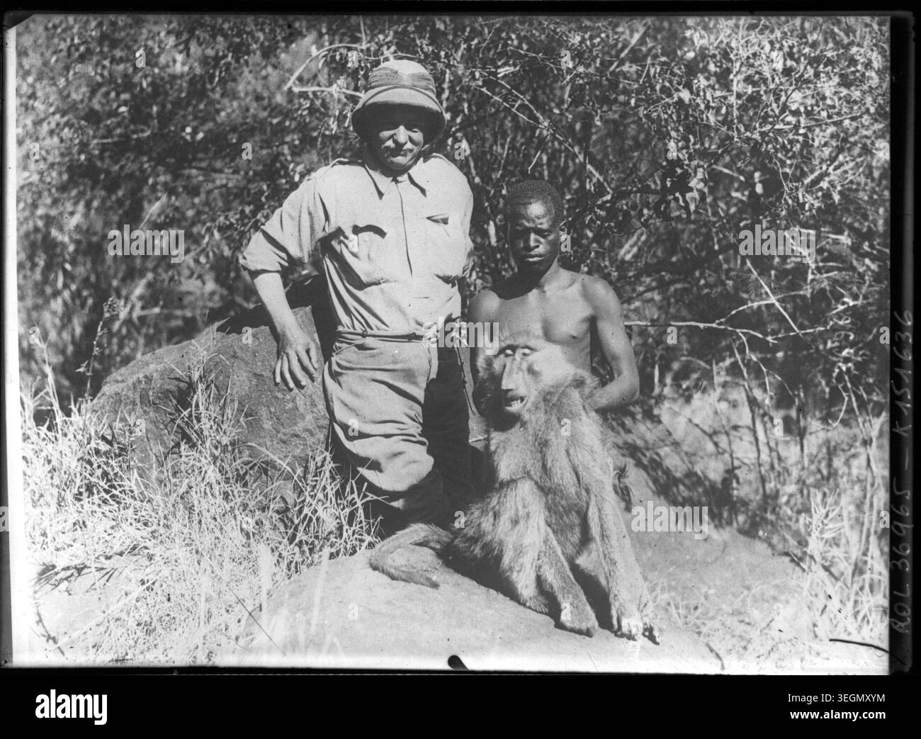 Sir Tommy Dewar und ein ortskundiger Assistent halten während einer großen Wildjagd in Afrika im Jahr 1914 einen Affen fest, der Jagdexpeditionen aus der Kolonialzeit und die Sammlung von Wildtieren veranschaulicht Stockfoto