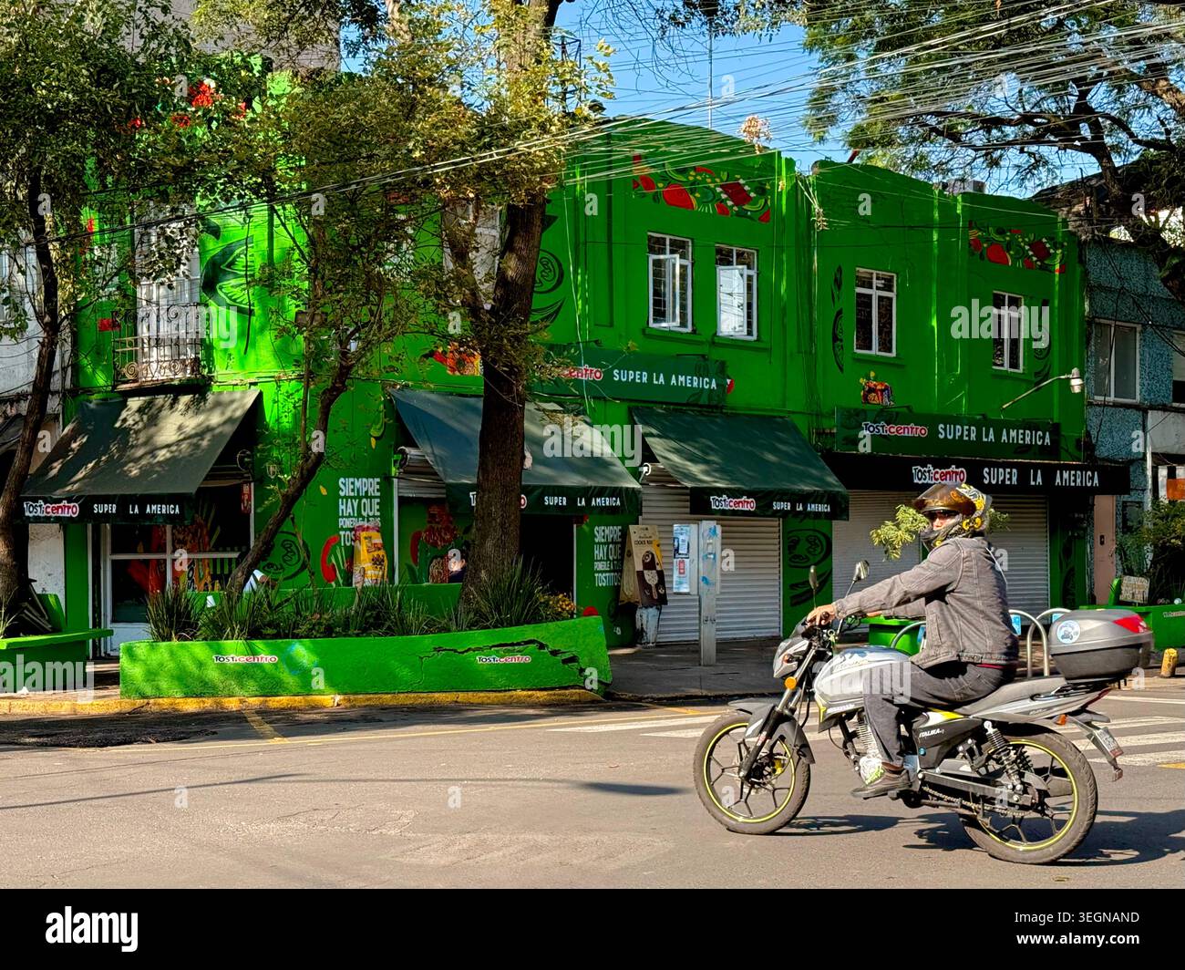 Ein Motorradfahrer kommt an einer knallgrünen Restaurantfassade in einer von Bäumen gesäumten Straße in Condesa, Mexiko-Stadt, vorbei. Stockfoto