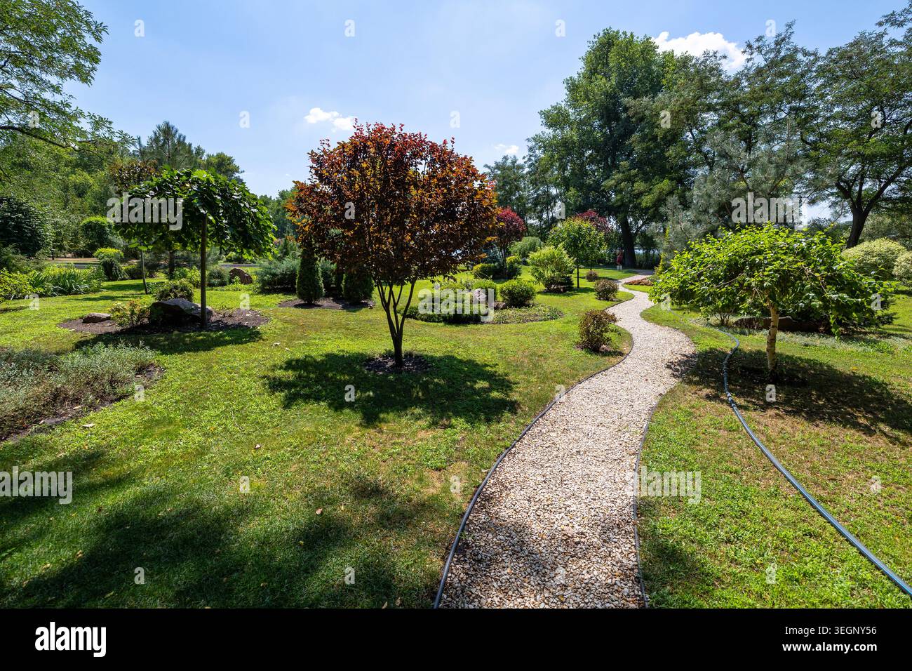 Ein gewundener Kiesweg führt durch einen landschaftlich gestalteten öffentlichen Park mit gepflegten grünen Rasenflächen, jungen Zierbäumen mit grünem und rötlichem Laub, an Stockfoto
