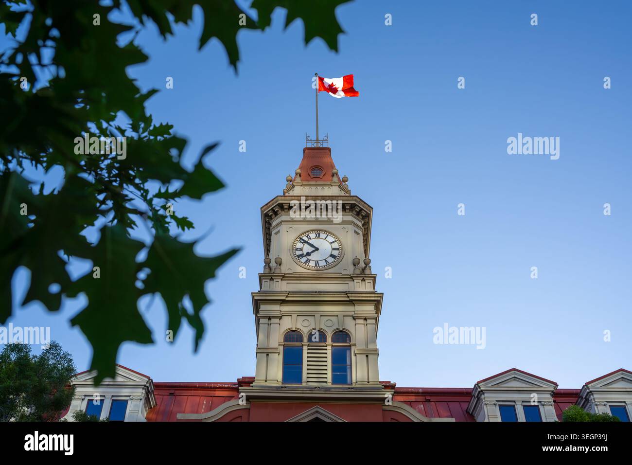 Victoria City Hall - Victoria, BC, Kanada Stockfoto