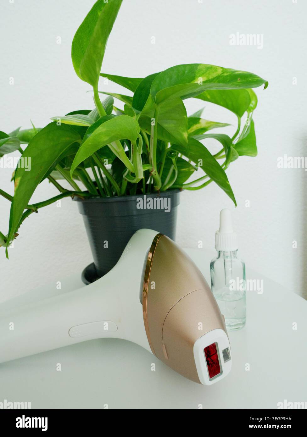 IPL Laser Haarentfernungsgerät stehend neben grüner Pflanze auf weißem Regal minimalistische Home Beauty Produkt Lifestyle Shot, Skin Care Technology Decor Stockfoto