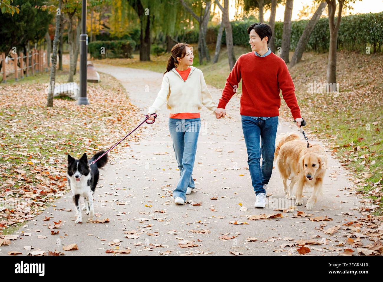 Ein Paar geht Hand in Hand mit ihren Hunden in einem Park an einem sonnigen Tag. Stockfoto
