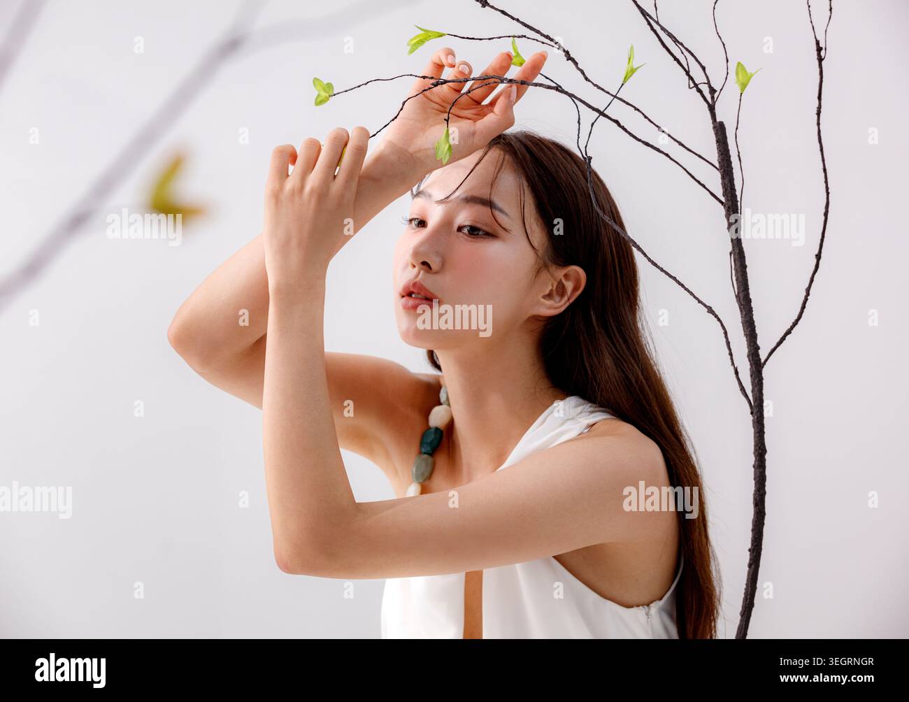 Eine junge Frau greift sanft nach einem neuen Blatt auf einem Baumzweig, ihre Finger sind zart und ihre Augen konzentrieren sich auf das entstehende Wachstum. Stockfoto