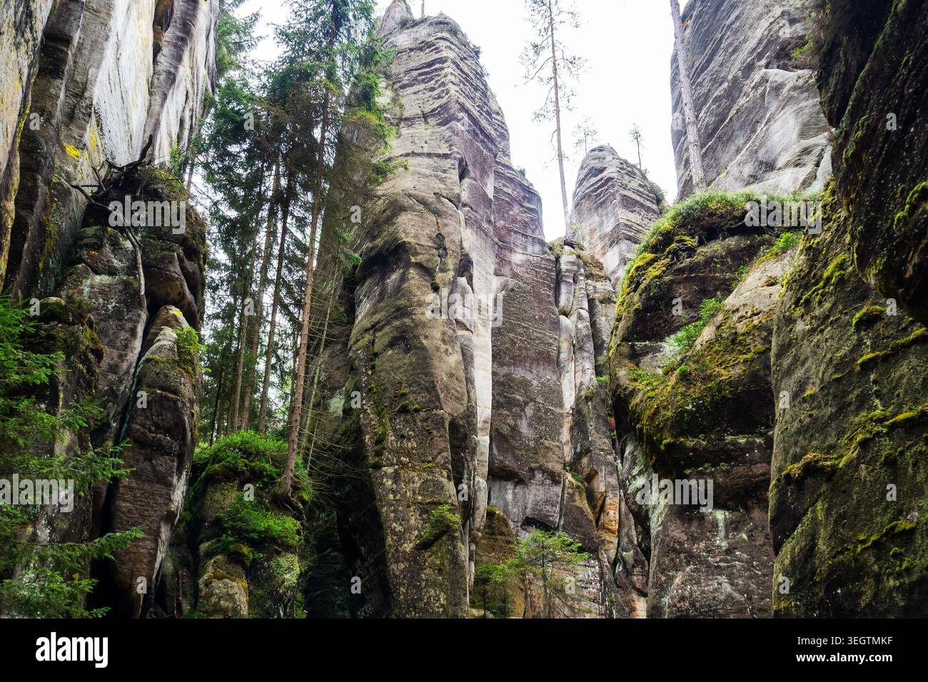 Weite Landschaft mit hoch aufragenden Felsen und üppigen Wäldern, um adrspachtige Felsen zu erkunden Stockfoto