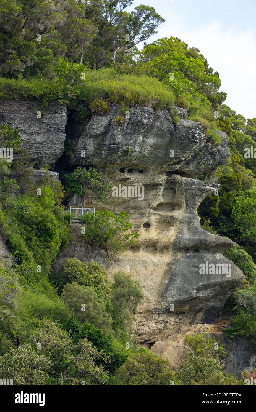 Der Aussichtspunkt Grove Scenic Reserve nahe Golden Bay, South Island, Neuseeland Stockfoto