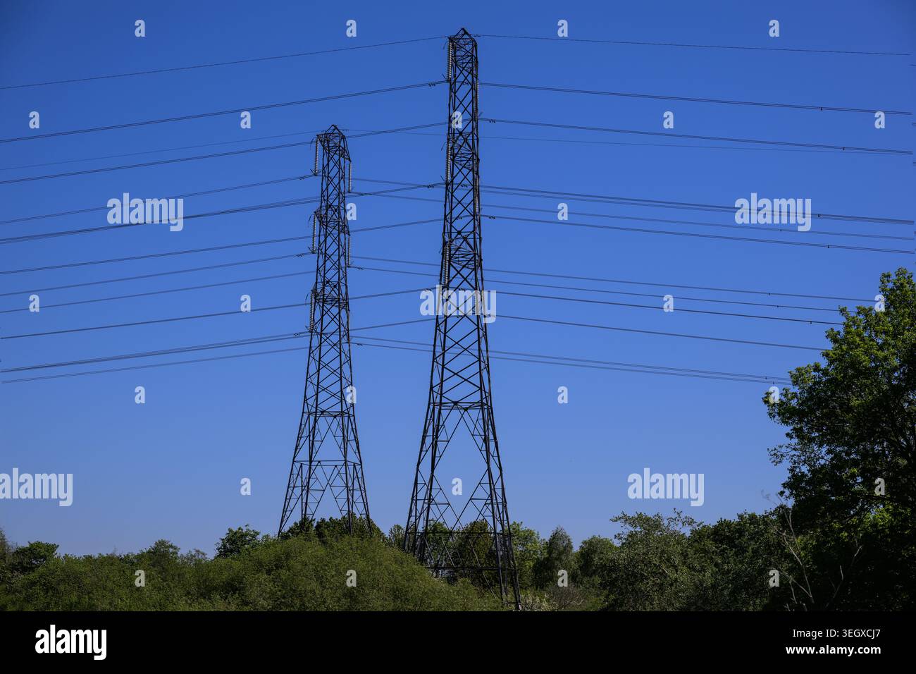Stromübertragungsmasten vor einem klaren blauen Himmel, die die Energieinfrastruktur, die Energieverteilung und die Industrielandschaft hervorheben. Stockfoto