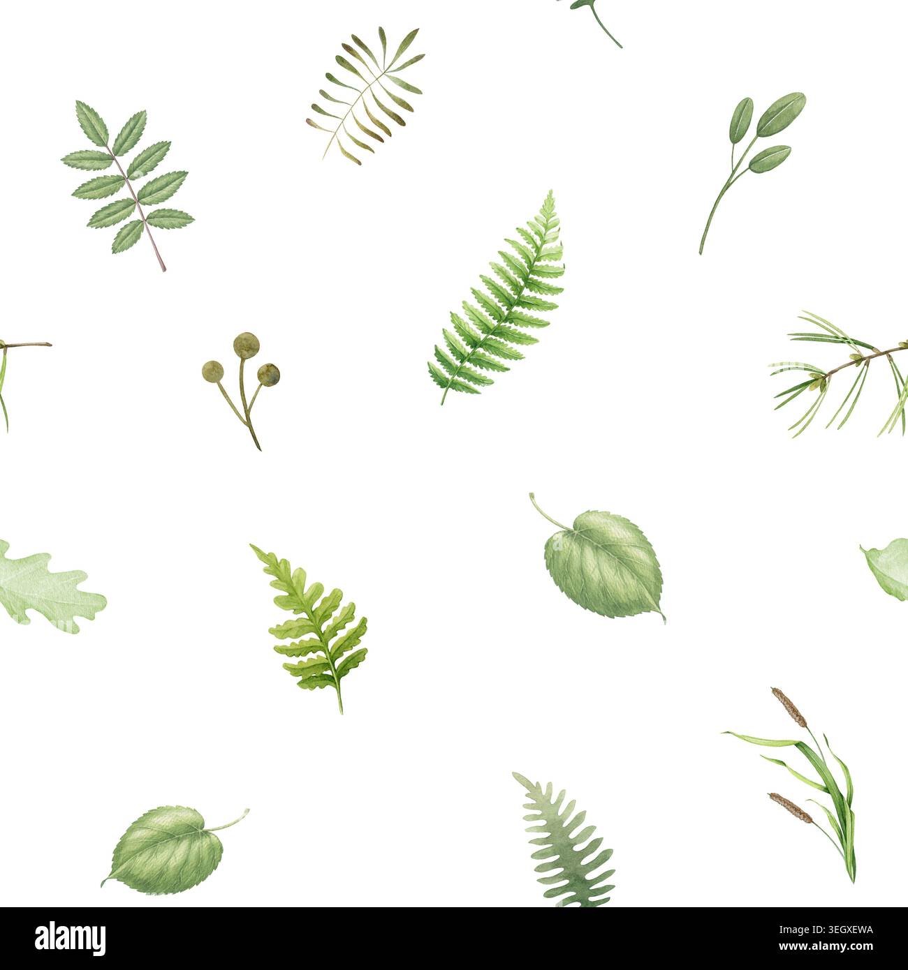 Botanisches nahtloses Muster mit feinen Waldblättern, Farnen und Waldzweigen auf weiß. Handgezeichnete Aquarellillustration Naturhintergrund für Stockfoto