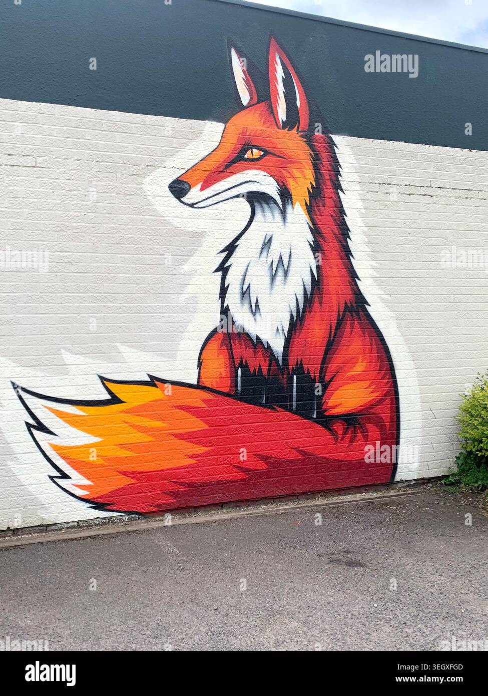 Lebendiges Fuchsgemälde erhellt eine Ziegelwand mit kräftigen Farben und urbaner Kunst in Northampton England Großbritannien große helle Bilderkunst sitzende Uhr - Smartphone-aufgenommenes Stockfoto