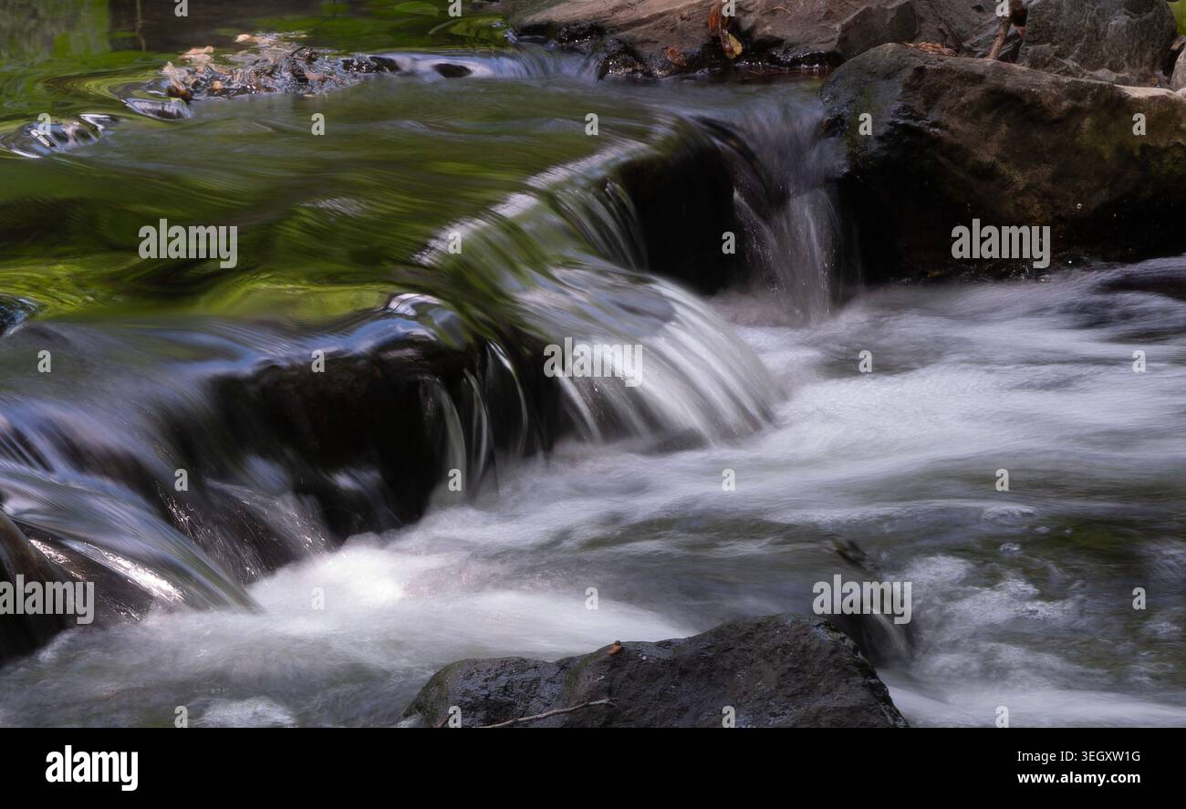 Ein kleiner, fließender Bach in einem Park Stockfoto