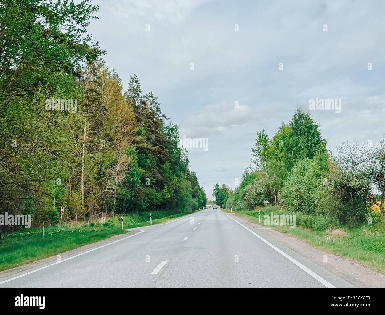 Die leere Landstraße erstreckt sich durch üppig grüne Wälder unter dramatischem bewölktem Himmel. Ideal für Reisen, Transport, Freiheit, Natur, Straße Stockfoto